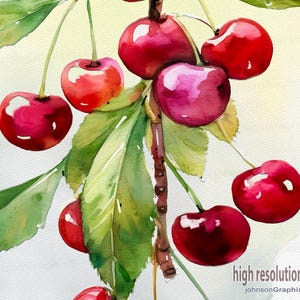 Cherries Watercolor Painting - Freshen Up your Kitchen or Dining Room With This Fresh Cherry Wall Art Print - Red Fruit Wall Decor