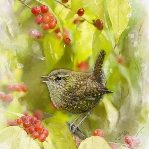 Carolina Wren Watercolor Print: Fall Garden Bird Art