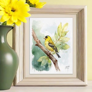 Yellow Finch Watercolor Painting: Gold Finch Bird Art Print