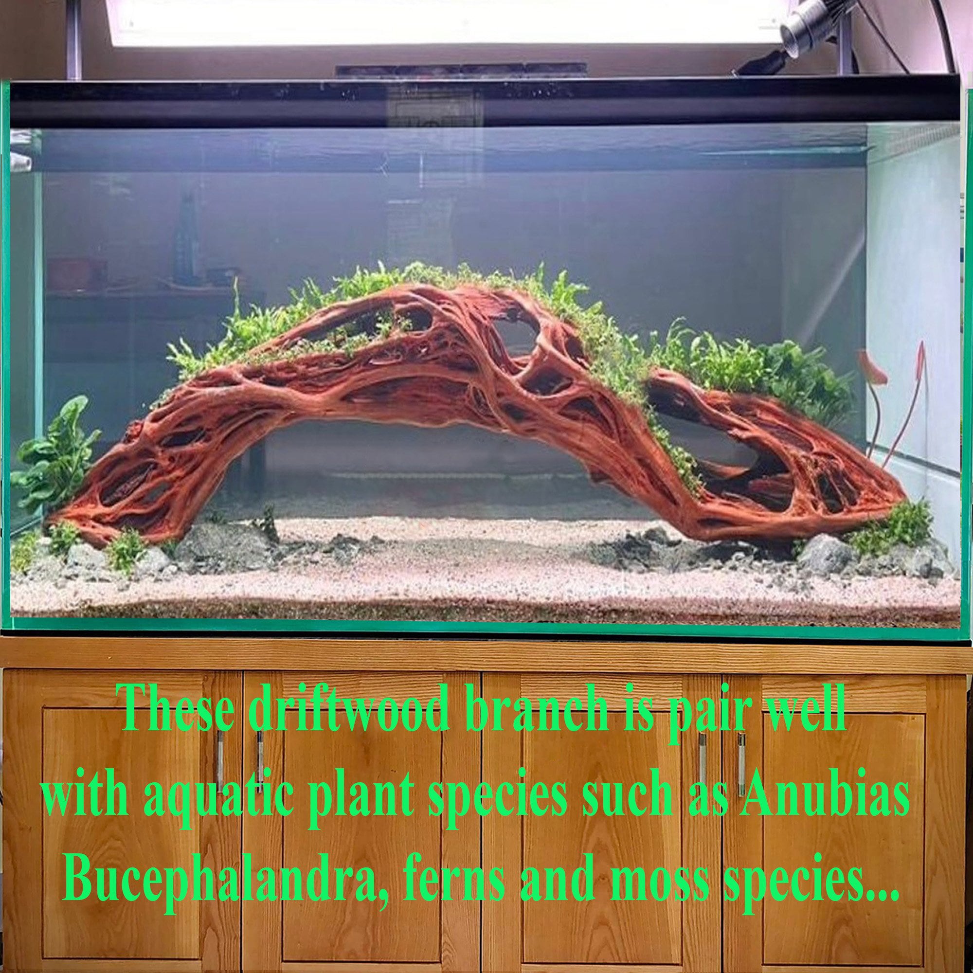 水槽の流木の切り株、流木の枝、木、アクアスケープ、ハードスケープ