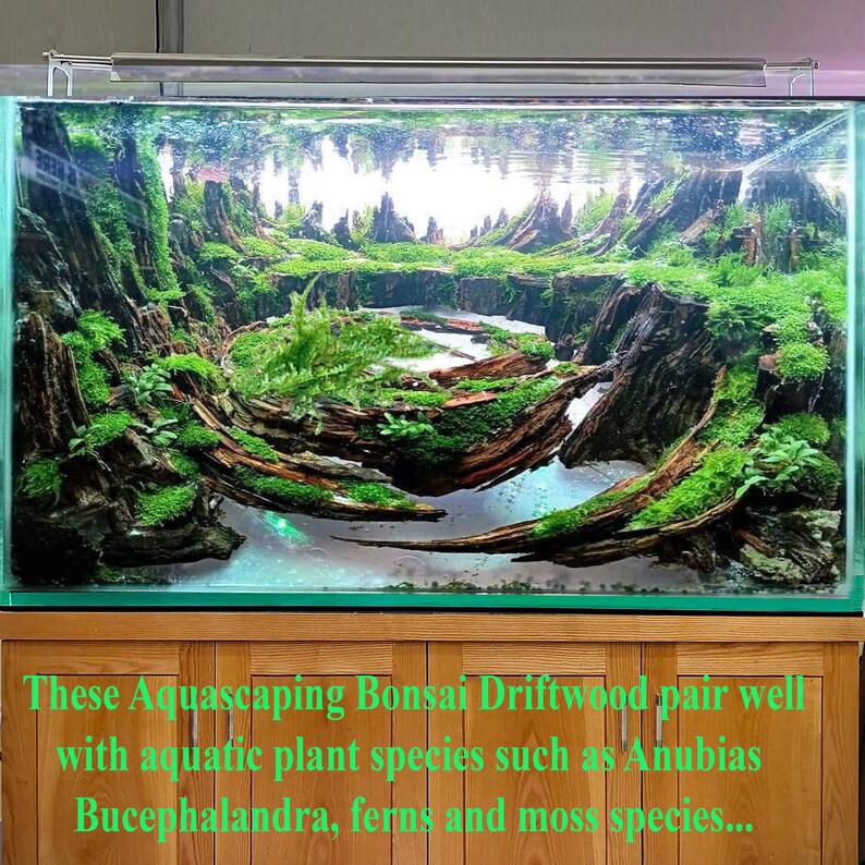 Drift Wood Aquarium Aquascape Hardscape Bonsai Driftwood for Etsy