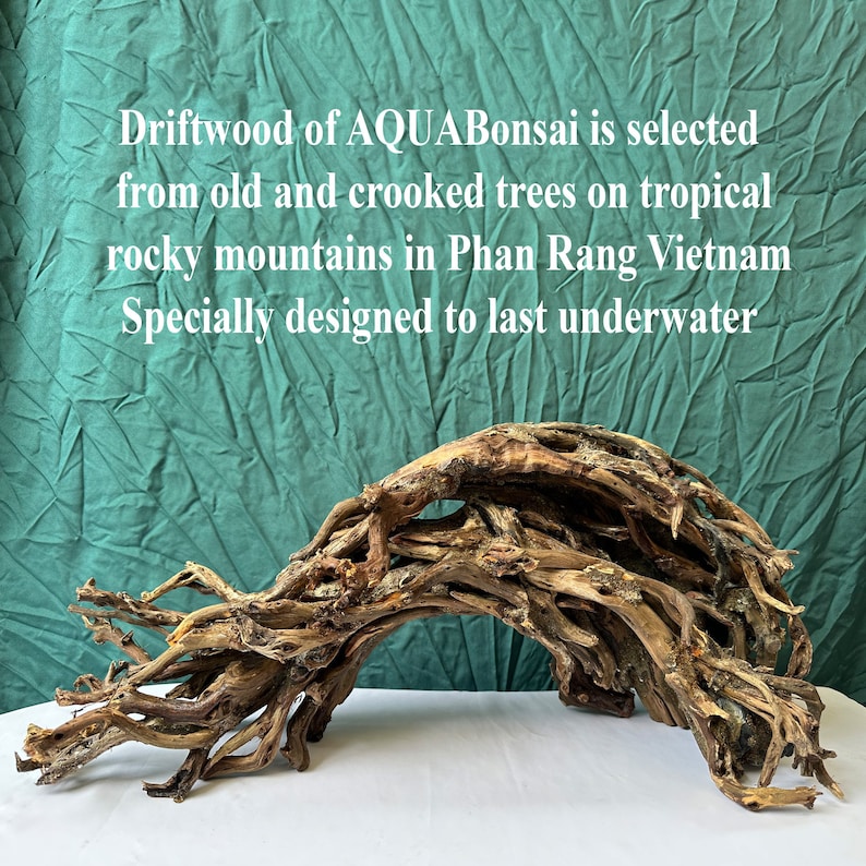 Image showcasing Aquarium Driftwood Arch Bonsai Tree Aquascape Hardscape Wood Stump Fish ...
