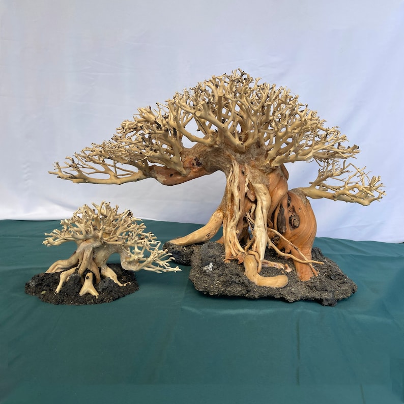 Bonsai Driftwood Aquarium Tree Aquascape Hardscape Real Drift Etsy