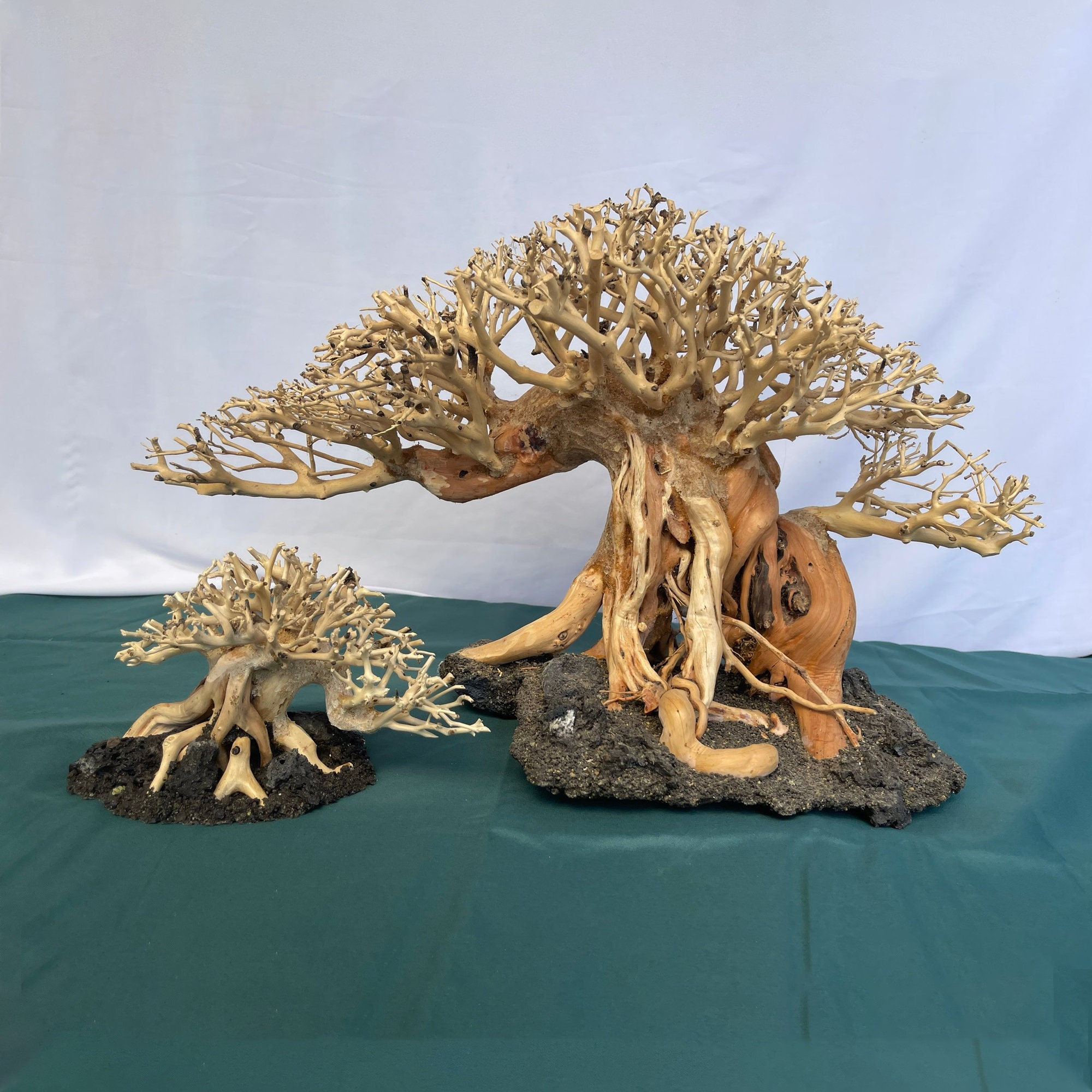 Bonsai Driftwood Aquarium Tree Aquascape Hardscape Real Drift - Etsy