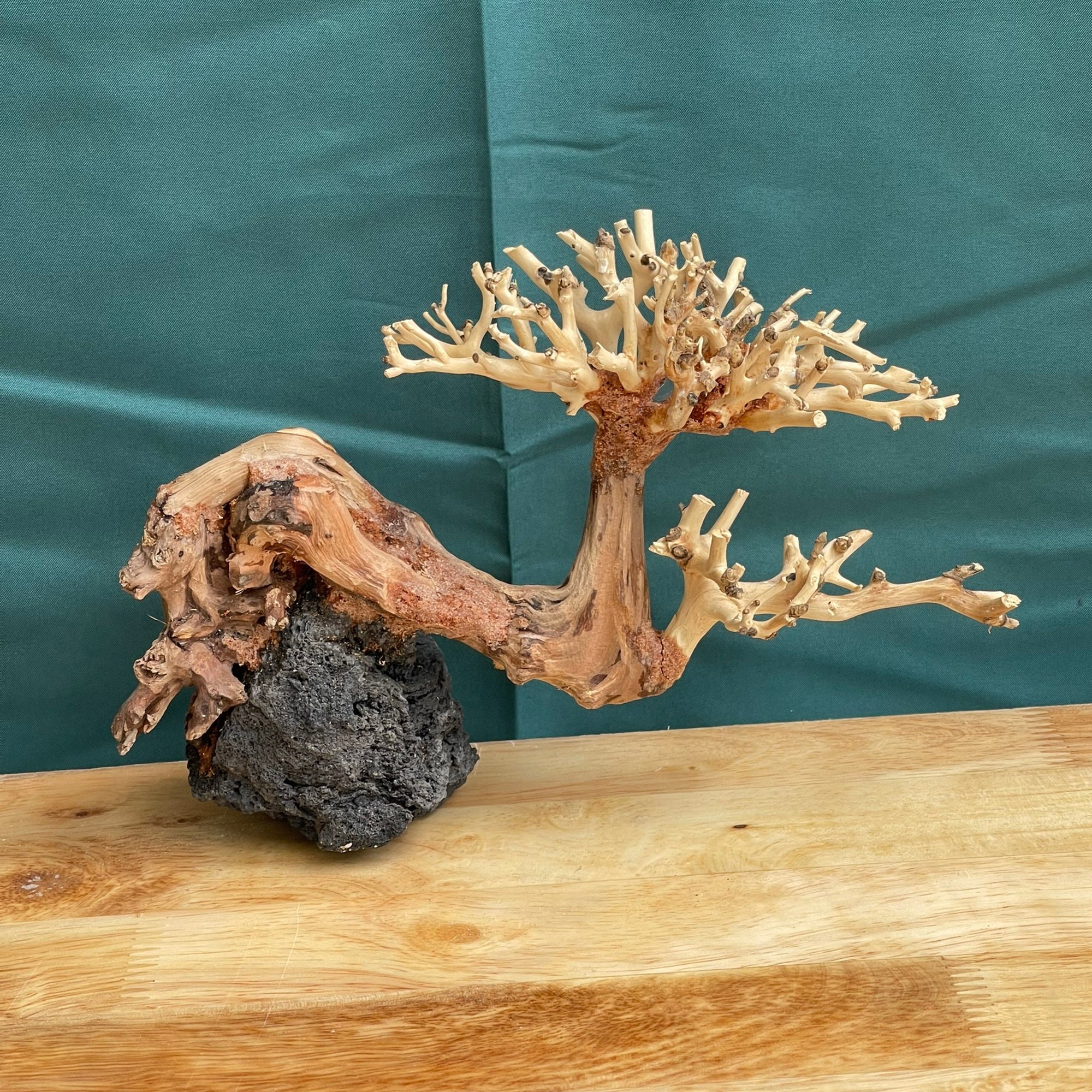 Drift Wood Bonsai Aquarium Plants Aquascape Driftwood Fish Tank