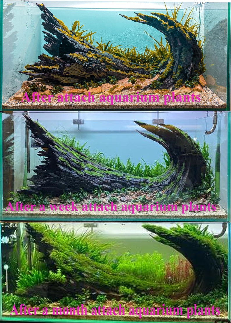 Aquascape driftwood aquarium cave hardscape drift wood fish tank decor image 3