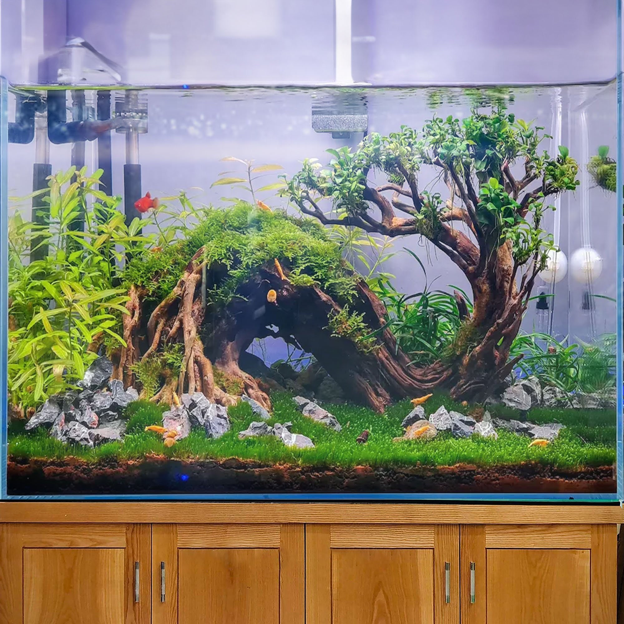 Drift Wood Bonsai Aquarium Rock Aquascape Hardscape Plants Fish Tank Decoration Etsy