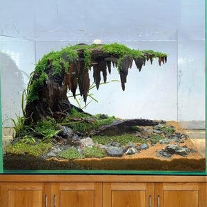Bonsai sculpture aquarium driftwood aquascape decor real drift wood for fish tanks