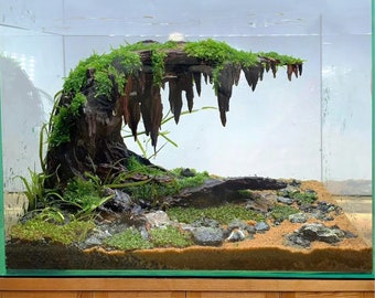 盆栽彫刻、水槽用流木、アクアスケープ装飾、水槽用本物の流木 - Etsy 日本
