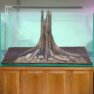 以下が含まれることがあります： 中央に木の切り株のある、大きな透明なガラス水槽。水槽は3つの引き出しのある木製の台の上に置かれています。水槽は砂利と石で満たされています。