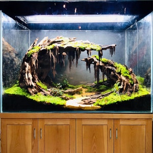 Large Aquarium Decor -  Canada