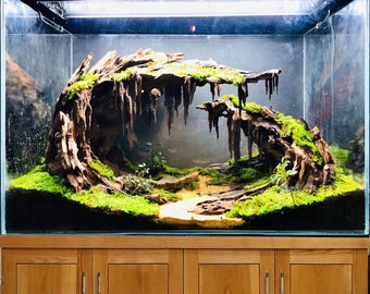 アクアスケープ 流木 水槽 盆栽 ハードスケープ 水槽 植物 アクアスケープ 流木 水槽 盆栽 ハードスケープ 水槽 植物