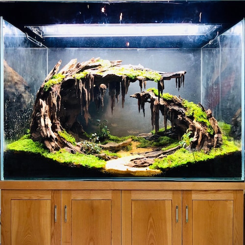 Aquascape Aquarium Driftwood Large Bonsai Aquascaping Decor Hardscape Fish  Tank Plant - Etsy