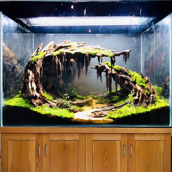 Aquascape Aquarium Driftwood Large Bonsai Aquascaping Decor