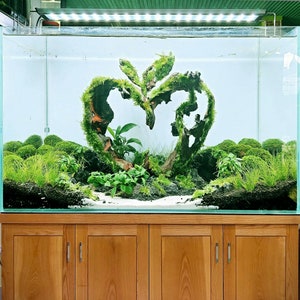 Natural aquarium driftwood aquascape cave fish tank decor hardscape