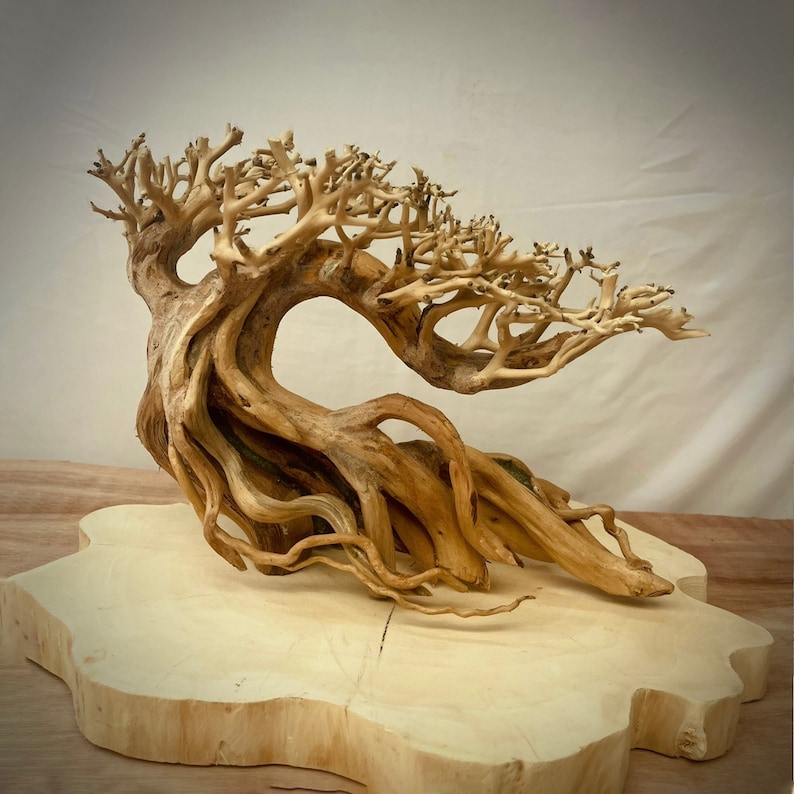 May include: A large, intricately detailed driftwood bonsai tree with a natural, light brown color. The tree is displayed on a circular, light brown wooden base.