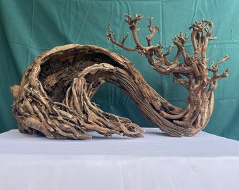 May include: A large, intricately-shaped piece of driftwood with a hollowed-out section. The wood is a dark brown color and has a natural, weathered look.