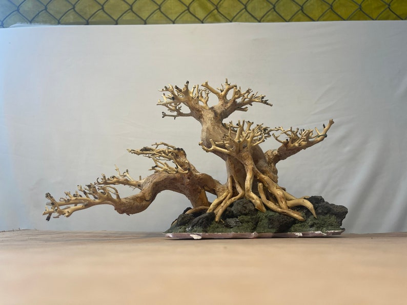 Aquarium Tree LSX Random Pick  4in Height  Natural, Handcrafted Fish Decoration Easy To Install