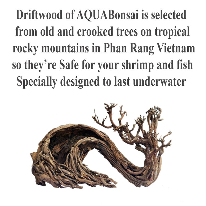 Aquarium driftwood extra large bonsai aquascape drift wood fish tank decor hide image 5