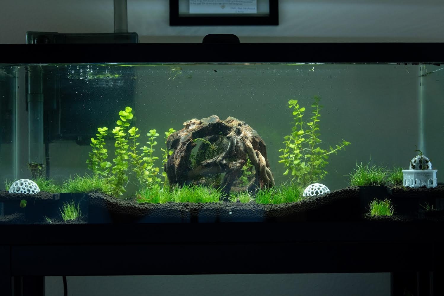 Natural Driftwood Tree Aquarium Decor Aquascape Landscape Plants Fish Tank  
