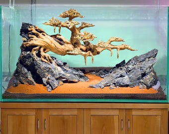 水槽用苔流木盆栽、垂れ下がるジャワ苔流木盆栽ミニテラリウム、アクア