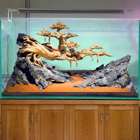 流木(625)　超大型流木　アクアリウム　テラリウム 流木(625) 超大型流木 アクアリウム テラリウム 流木(625) 超大型流木