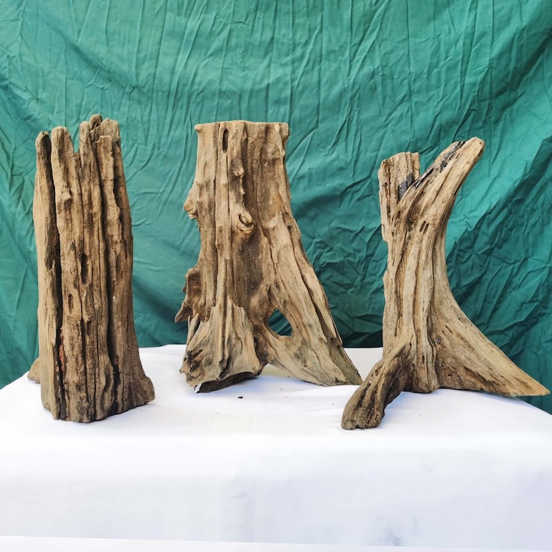 Aquarium Tree Stump Driftwood Bonsai Drift Wood Root Decor Etsy