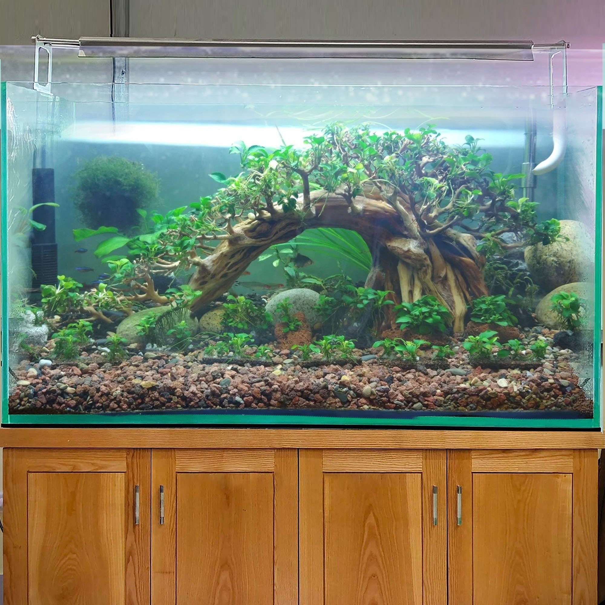 Aquarium Driftwood Arch Bonsai Aquascape Hardscape Fish Tank Decor Hide 