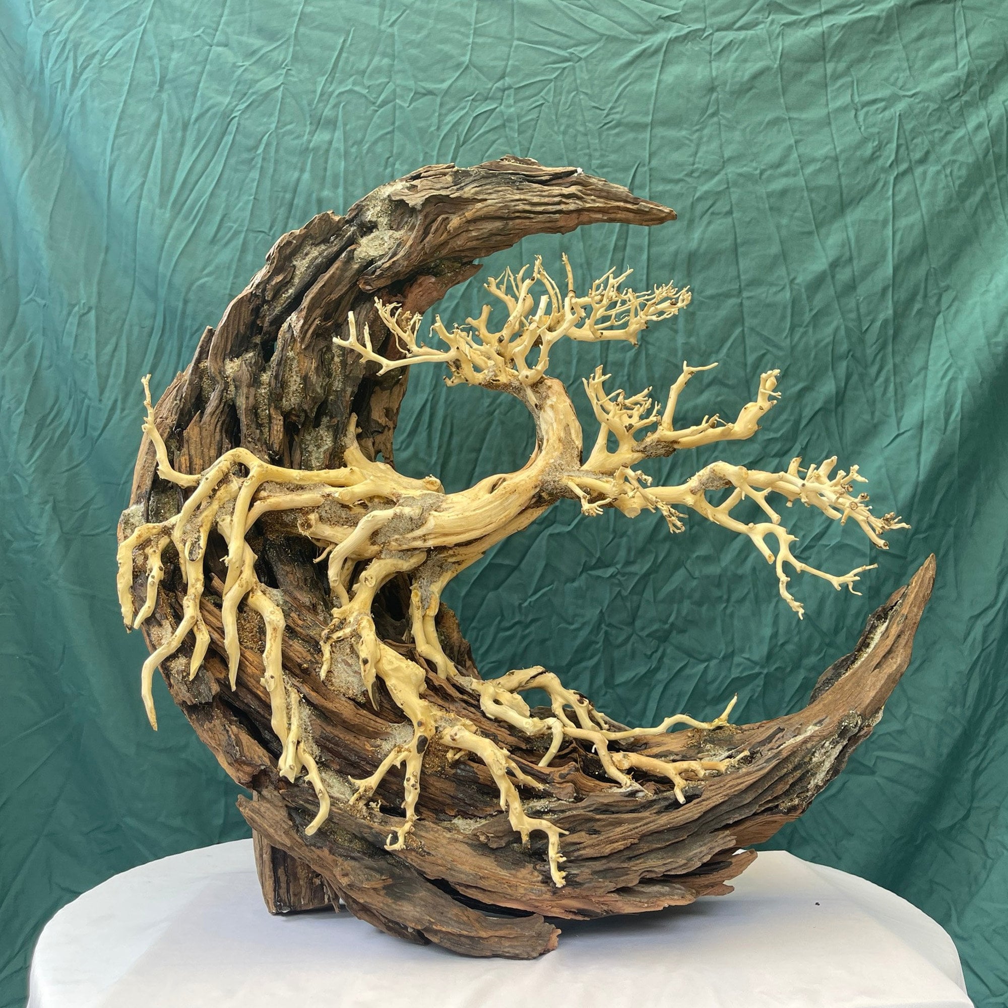 Drift Wood Aquarium Bonsai Aquascape Wood Landscape Fish Tank Decor - Etsy
