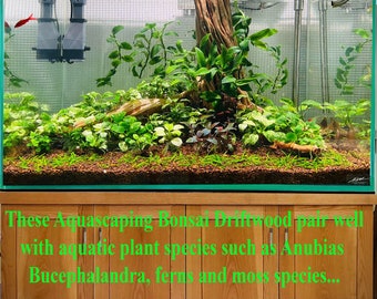 Tronco Decorativo Per Acquario - Grotta In Resina Per Pesci Betta E Rettili 16x8x5 Cm - Foto 10