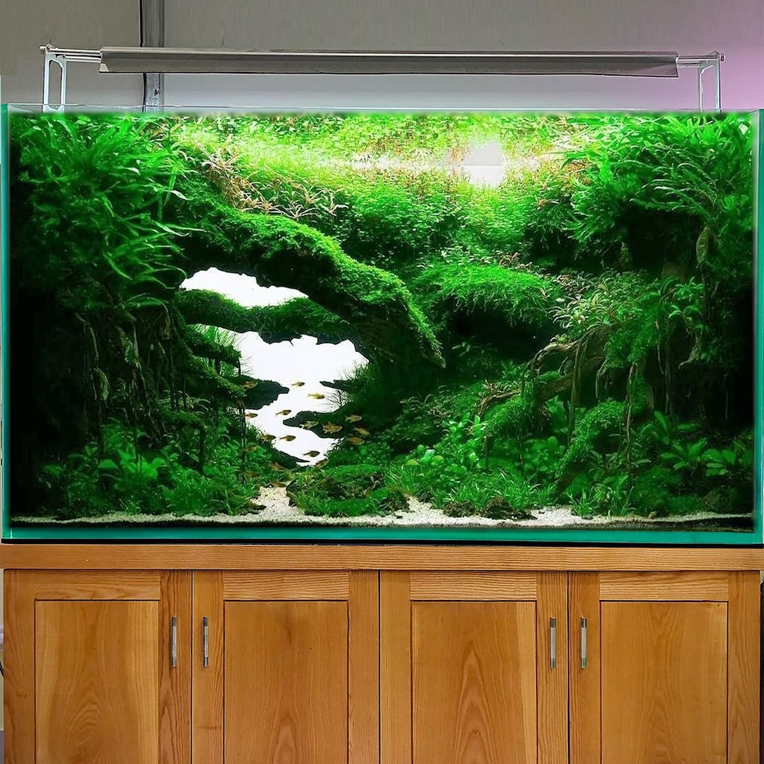 Aquascape Driftwood Aquarium Bonsai Aquascaping Wood Cave Fish Tank ...