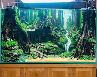 アクアテラリウム 水槽流木。水生植 物　水槽用流木　アクアリウム 盆栽流木 アクアスケープ盆栽流木水槽樹木植物アクアスケープセンター