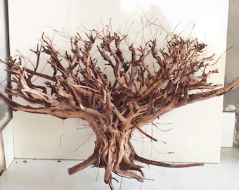 Fondo de pecera de árbol de tocón grande de rama de madera flotante de Spiderwood