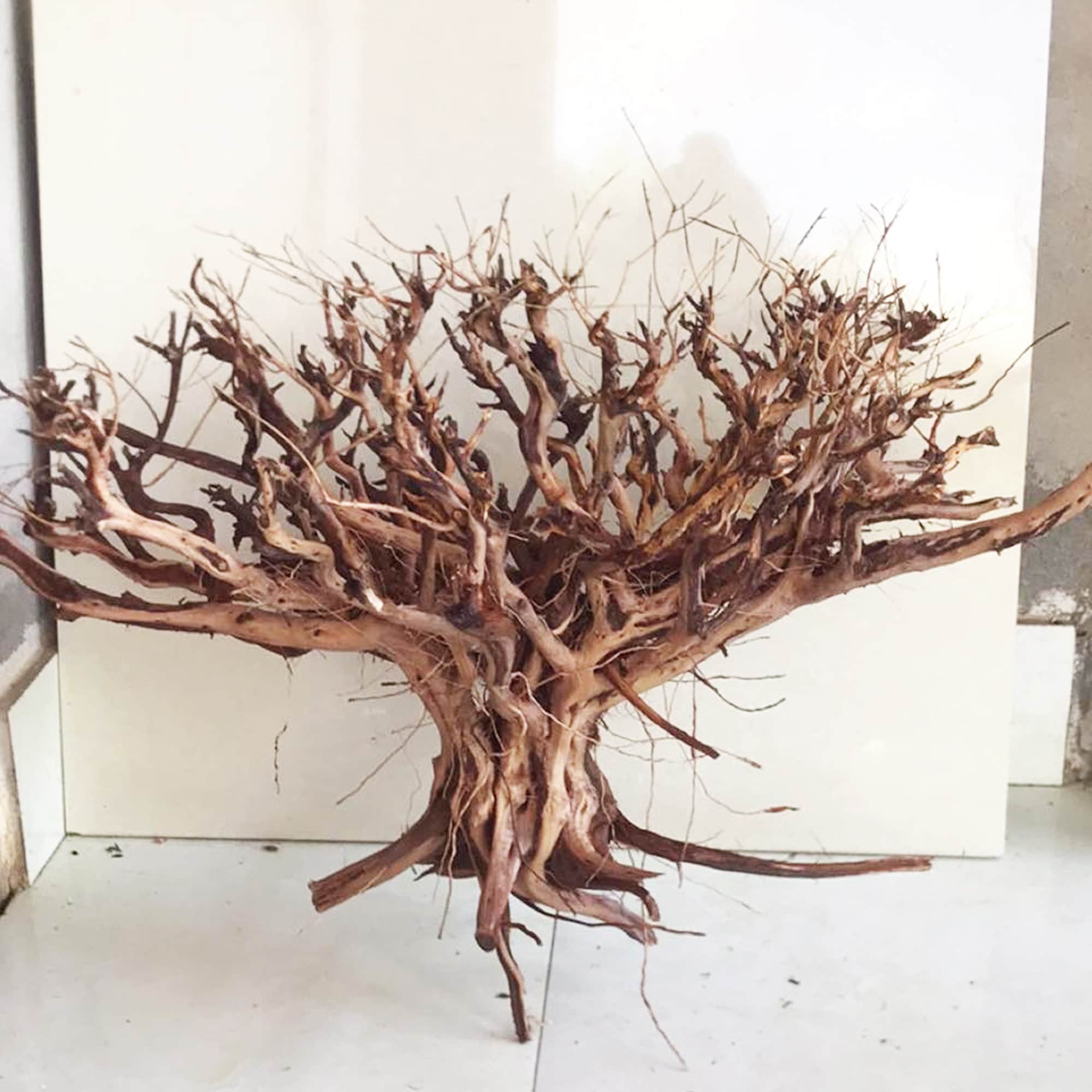 Spiderwood Driftwood Branch Large Stump Tree Fish Tank Etsy