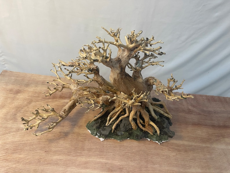 Bonsai Driftwood Aquarium Tree Aquascape Wood Fish Tank Decor Etsy