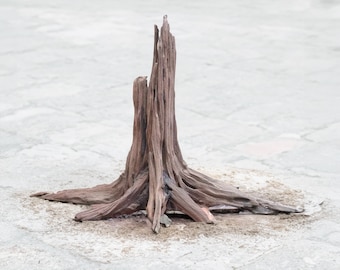 Acquario, ceppo d'albero, legno galleggiante, bonsai, legno rustico, aquascaping, hardscape, decorazione per acquario di pesci bonsai