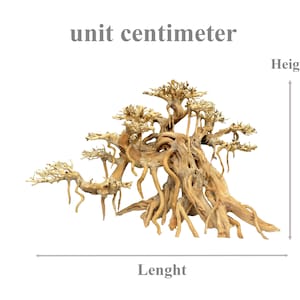 May include: A large, intricately-branched, driftwood bonsai tree with a natural, weathered finish. The tree is approximately 30 centimeters tall and 40 centimeters wide.  unit centimeter