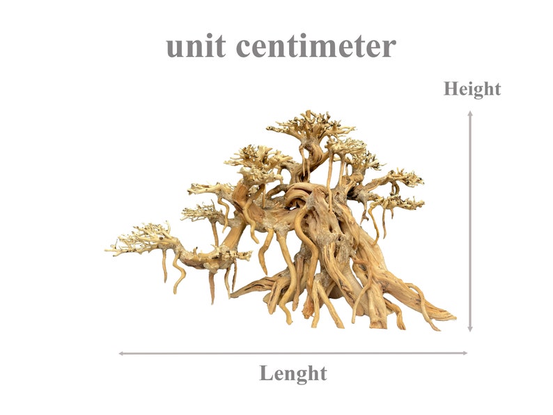 May include: A large, intricately-branched, driftwood bonsai tree with a natural, weathered finish. The tree is approximately 30 centimeters tall and 40 centimeters wide.  unit centimeter
