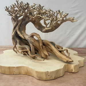 May include: A decorative driftwood bonsai tree with a natural, gnarled trunk and branches. The tree is mounted on a light brown wooden base.