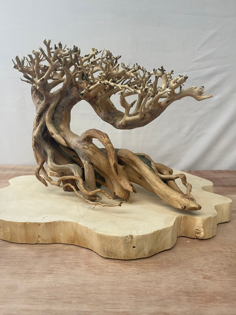 May include: A decorative driftwood bonsai tree with a natural, gnarled trunk and branches. The tree is mounted on a light brown wooden base.