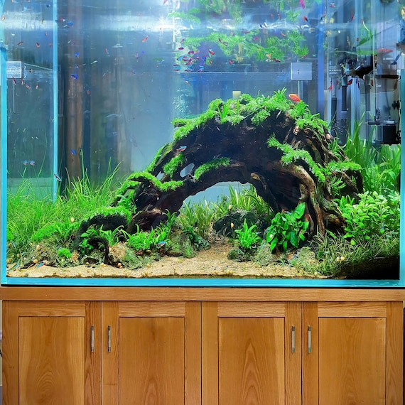 Aquarium Driftwood Arch Bonsai Tree Aquascape Hardscape Wood Stump Fish  Tank Decor 