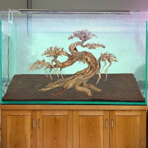 Peut inclure: Un aquarium en verre transparent avec un grand bonsa&iuml; en bois flott&eacute;. Le bac repose sur un meuble en bois. Le substrat est brun fonc&eacute; et un luminaire est mont&eacute; au-dessus du r&eacute;servoir.