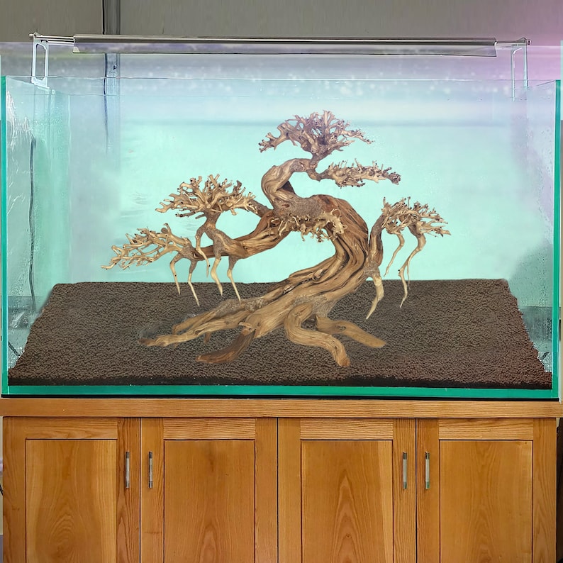 Peut inclure: Un aquarium en verre transparent avec un grand bonsa&iuml; en bois flott&eacute;. Le bac repose sur un meuble en bois. Le substrat est brun fonc&eacute; et un luminaire est mont&eacute; au-dessus du r&eacute;servoir.