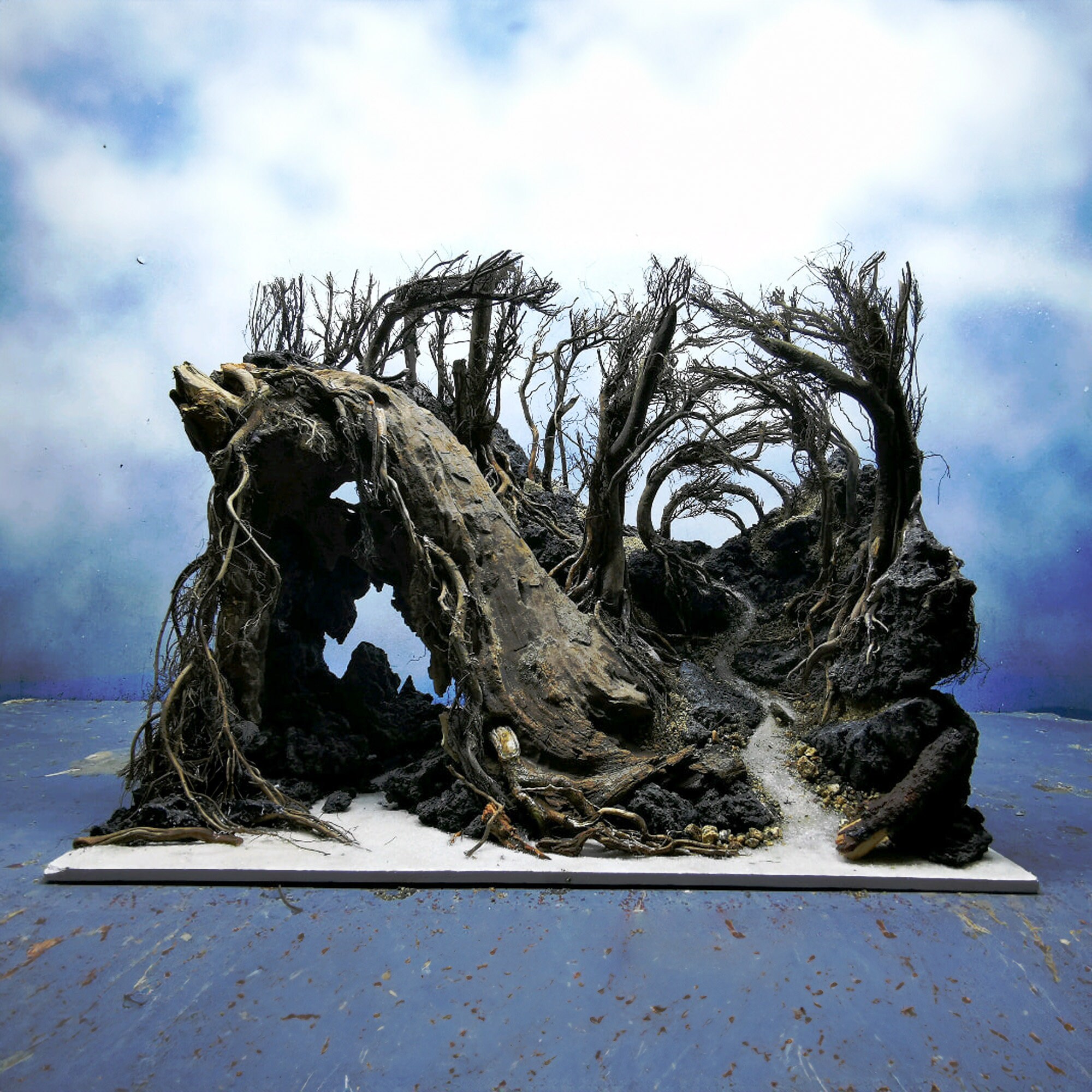 Legno Per Acquario (Driftwood) Naturale Poroso - Con Fori E Tunnel, Per Pesci E Gamberetti - Misura 30-40 Cm