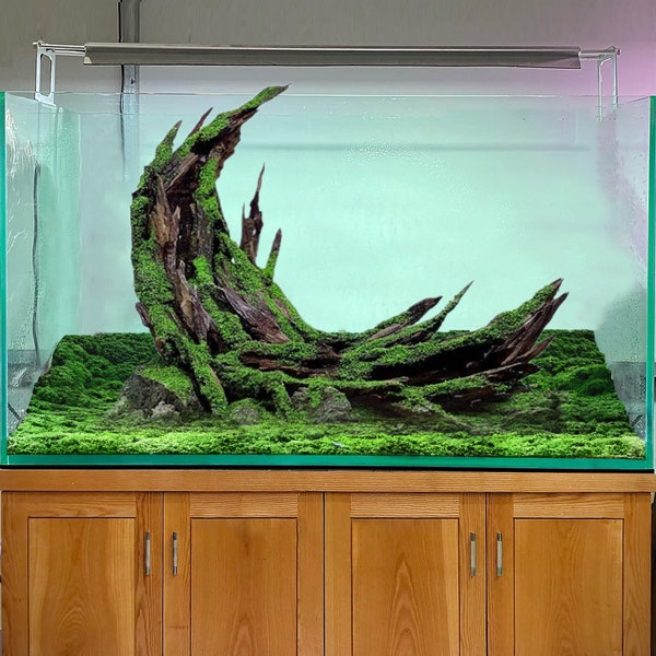 Aquascape en bois flotté pour aquarium en bois flotté pour aquarium, décoration en bois flotté pour aquarium, hardscape, roches