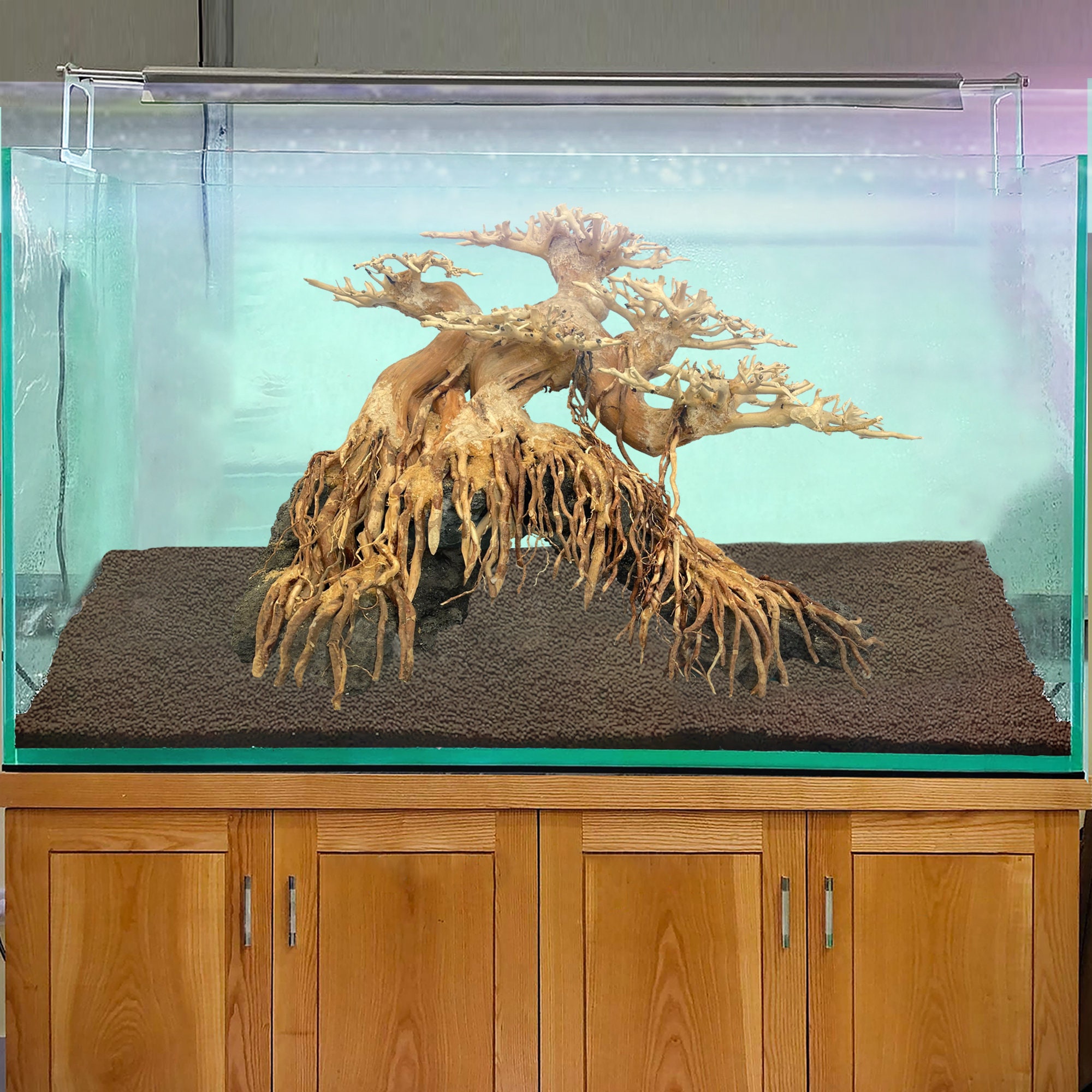 Bonsai Driftwood Aquarium Cave Aquascape Decor Real Drift Wood - Etsy