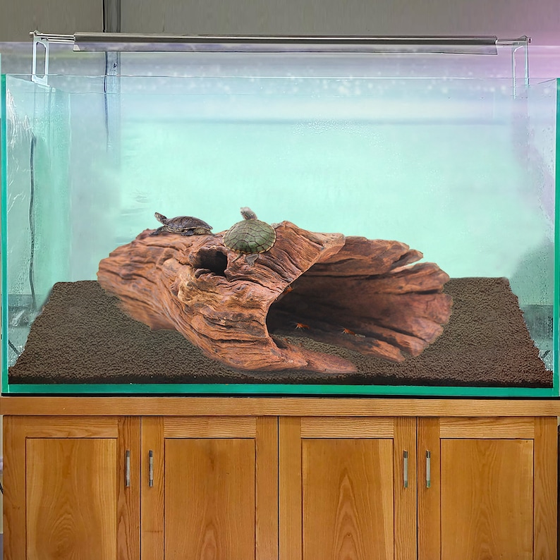 May include: A glass aquarium with a brown, hollowed-out log in the center. Two small turtles are perched on the log. The aquarium is filled with brown gravel and has a light fixture on top.