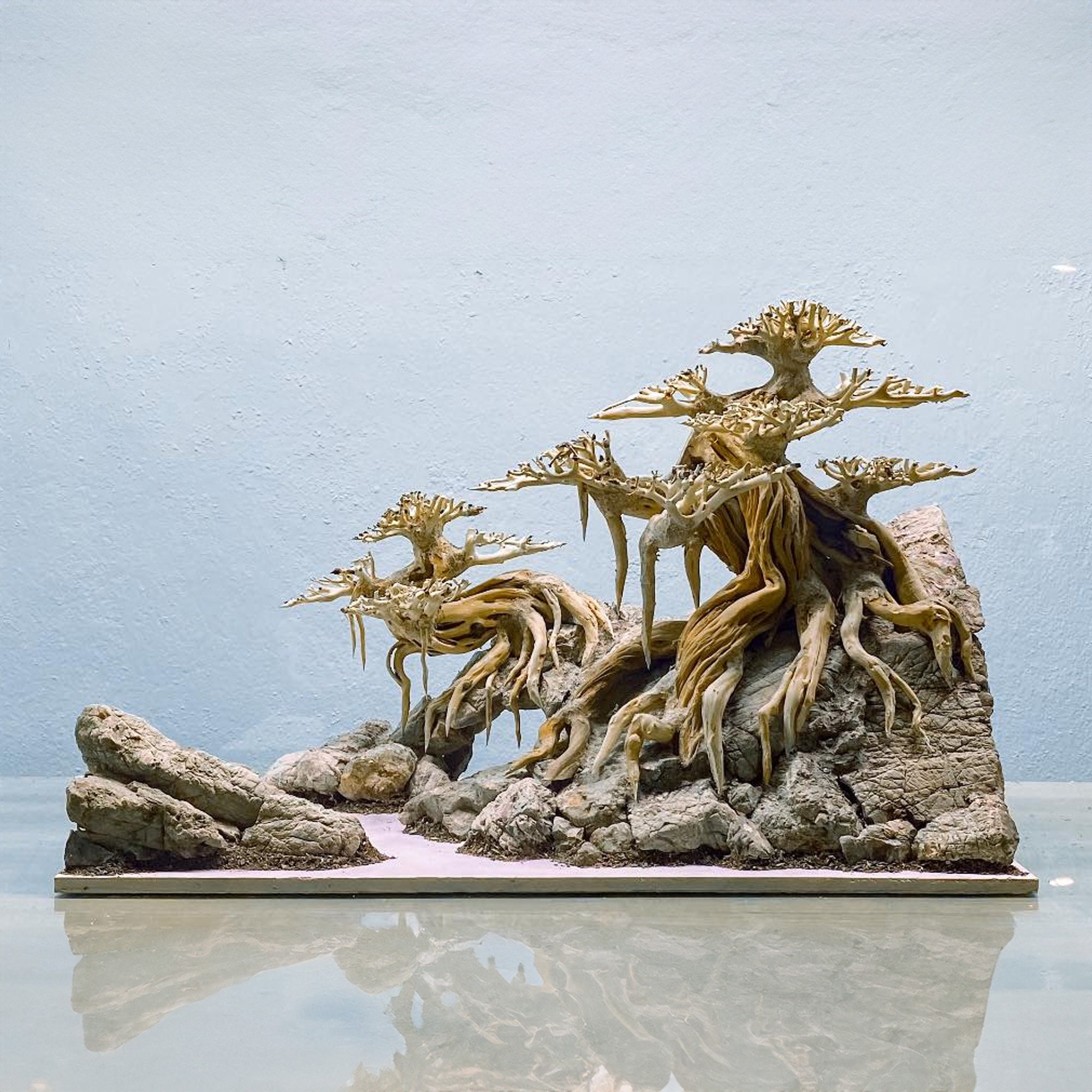 Bonsai Driftwood Tree Aquarium Drift Wood Aquascape Hardscape Decor ...
