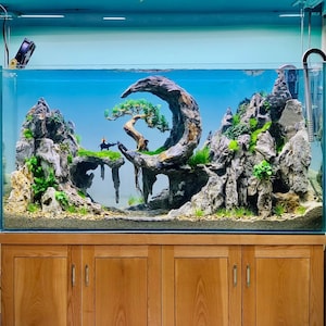 Aquascape hardscape akwarium krajobraz skały drewno dryftowe bonsai drzewo akwarium wystrój