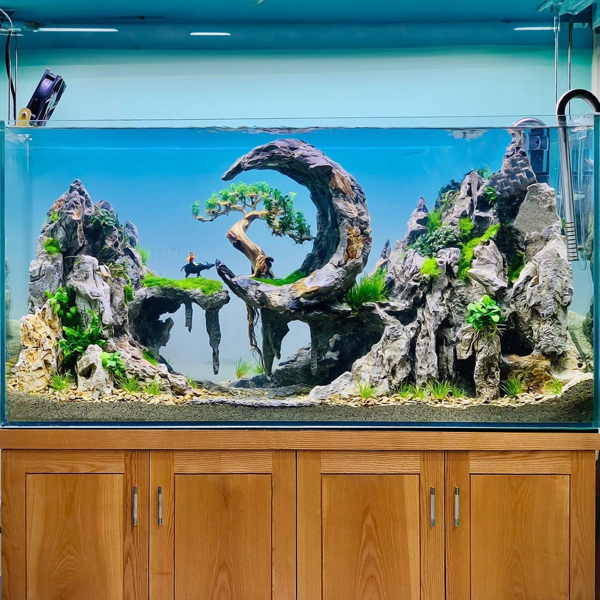Freshwater Aquarium Design Ideas Freshwater Simple Aquarium Design